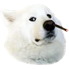 😐 Эмодзи «White Dog Emoji» для Telegram