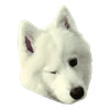 😉 Эмодзи «White Dog Emoji» для Telegram