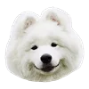 🙂 Эмодзи «White Dog Emoji» для Telegram