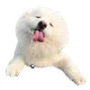 👅 Эмодзи «White Dog Emoji» для Telegram
