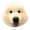 😶 Эмодзи «White Dog Emoji» для Telegram