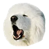 🥱 Эмодзи «White Dog Emoji» для Telegram