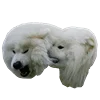 👊 Эмодзи «White Dog Emoji» для Telegram