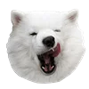 😋 Эмодзи «White Dog Emoji» для Telegram