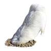 🤪 Эмодзи «White Dog Emoji» для Telegram