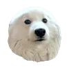 😐 Эмодзи «White Dog Emoji» для Telegram