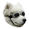 😎 Эмодзи «White Dog Emoji» для Telegram