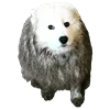 💩 Эмодзи «White Dog Emoji» для Telegram
