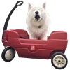 🚗 Эмодзи «White Dog Emoji» для Telegram