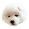 🫤 Эмодзи «White Dog Emoji» для Telegram