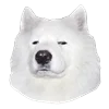 😐 Эмодзи «White Dog Emoji» для Telegram