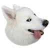 🤪 Эмодзи «White Dog Emoji» для Telegram