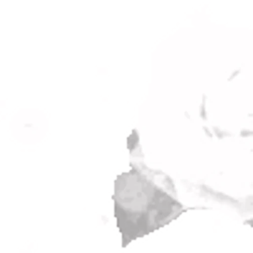 🤍 Эмодзи «white fei» для Telegram