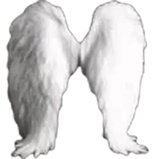 🪽 Эмодзи «white fei» для Telegram