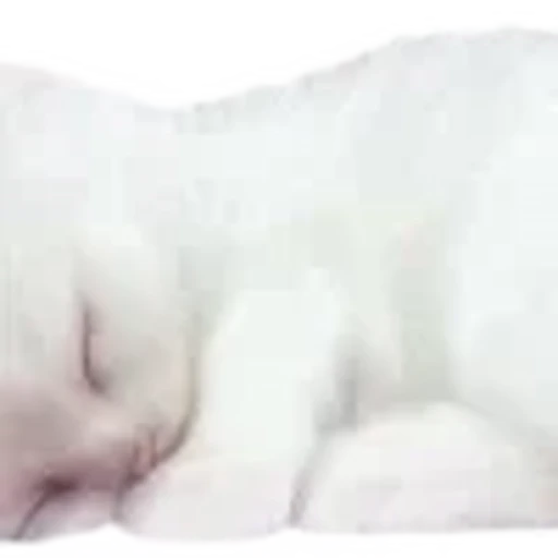 🤍 Эмодзи «white fei» для Telegram