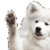 🐶 Эмодзи «White Random» для Telegram