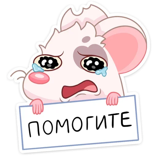 Стикер 13 Вайт