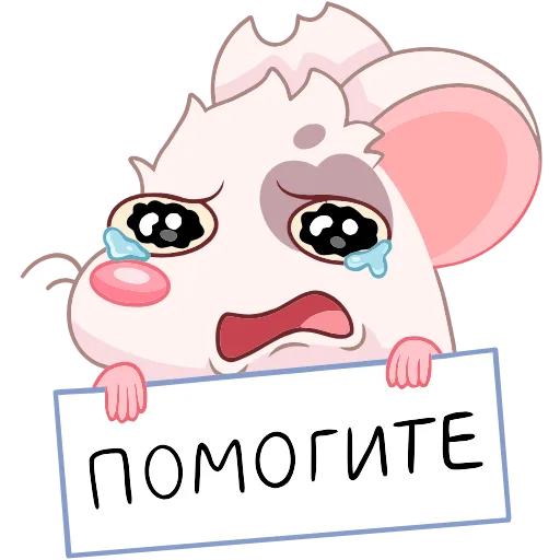 Стикер 13 Вайт
