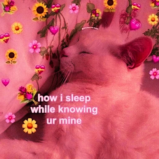 💅 Стикер «whole cute» для Telegram