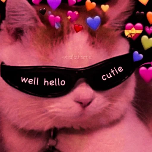 💅 Стикер «whole cute» для Telegram