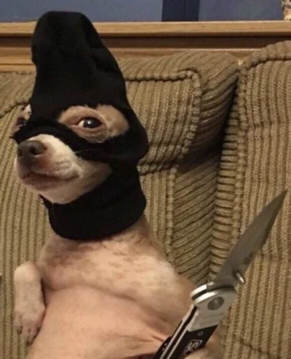 💀 Стикер «Whoop-diddy-scoop» для Telegram