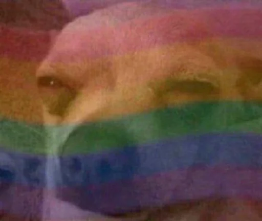 🏳️‍🌈 Стикер «Whoop-diddy-scoop» для Telegram