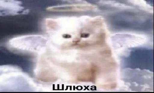 🌟 Стикер «JD OH OŞSKWPWJS» для Telegram