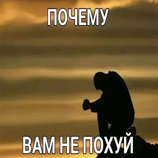 ❔ Стикер «JD OH OŞSKWPWJS» для Telegram