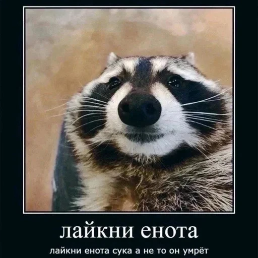 🌟 Стикер «JD OH OŞSKWPWJS» для Telegram