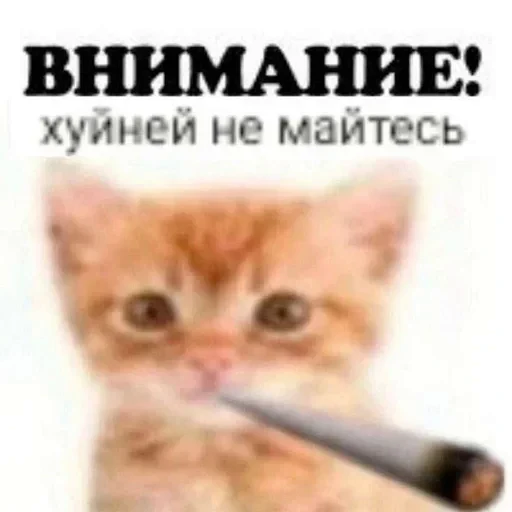 ❗️ Стикер «JD OH OŞSKWPWJS» для Telegram
