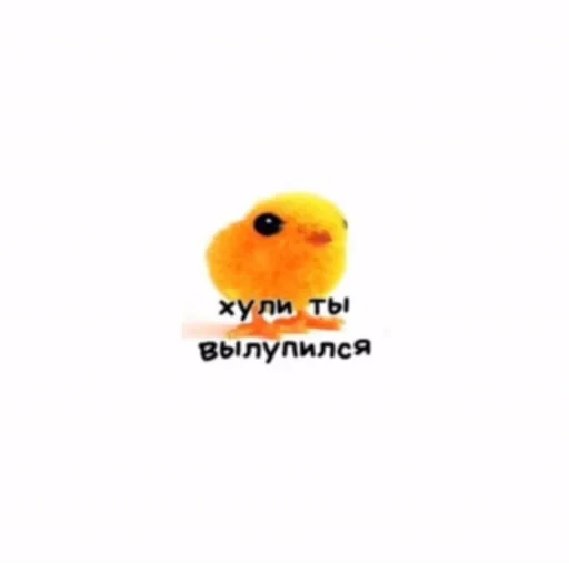 🌟 Стикер «JD OH OŞSKWPWJS» для Telegram