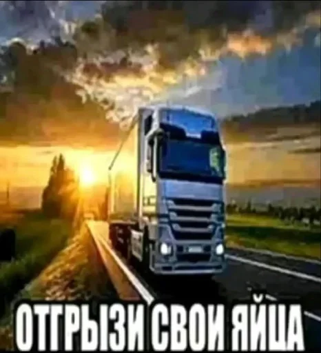 🌟 Стикер «JD OH OŞSKWPWJS» для Telegram