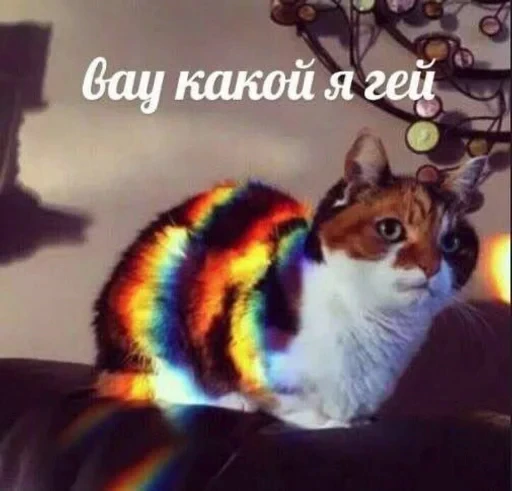 🌟 Стикер «JD OH OŞSKWPWJS» для Telegram