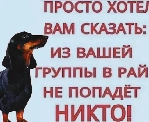 🌟 Стикер «JD OH OŞSKWPWJS» для Telegram