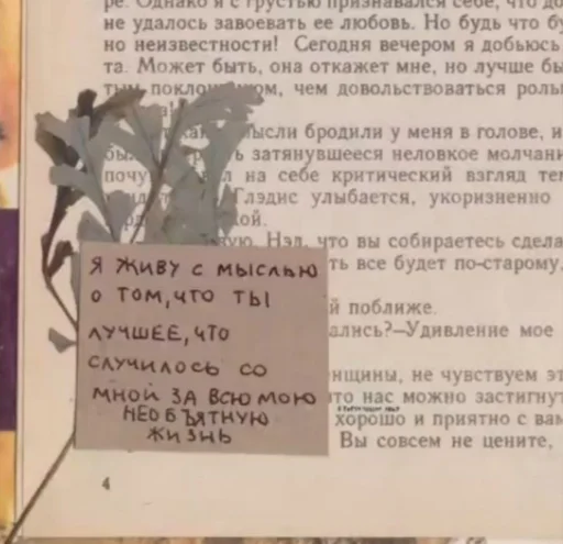 💜 Стикер «Why do you Live» для Telegram