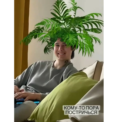 🌿 Стикер «Ветренный 31» для Telegram