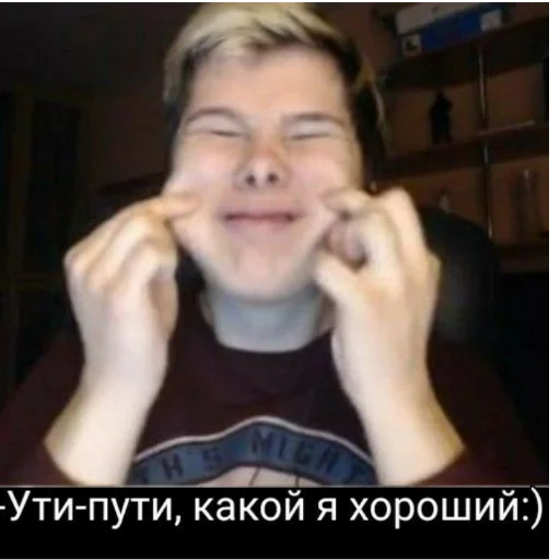 🙃 Стикер «Ветренный 31» для Telegram