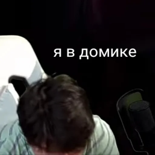 🏠 Стикер «Винди 31 2.0» для Telegram