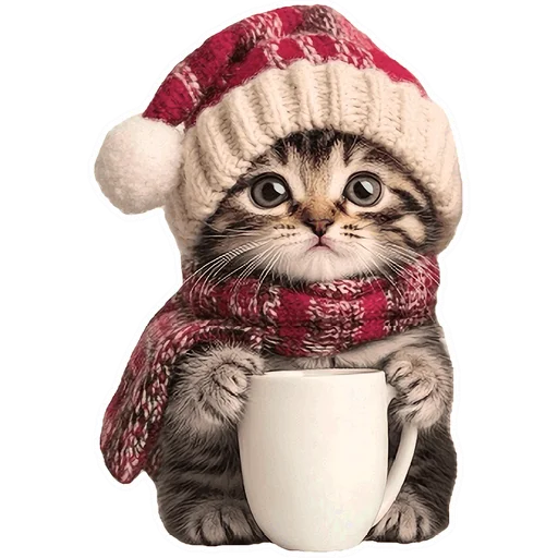 ☕️ Стикер «Зимние котики» для Telegram