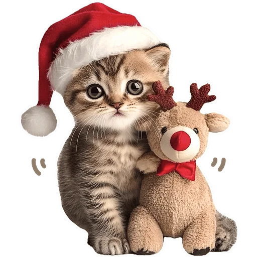 🐱 Стикер «Зимние котики» для Telegram