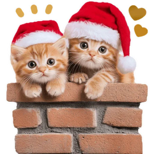 🎅 Стикер «Зимние котики» для Telegram