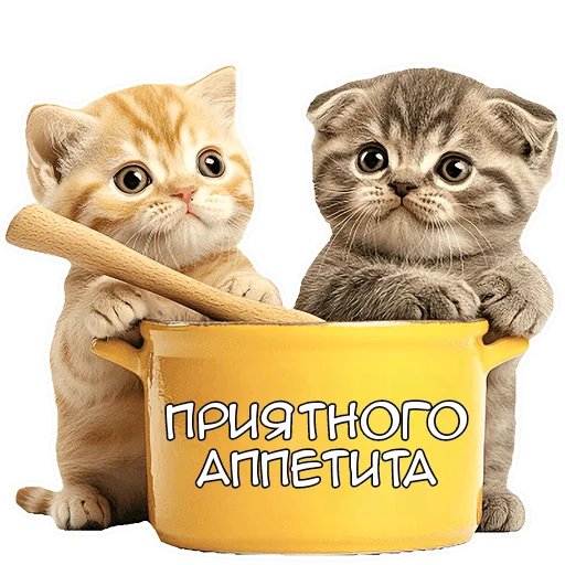 😋 Стикер «Зимние котики» для Telegram