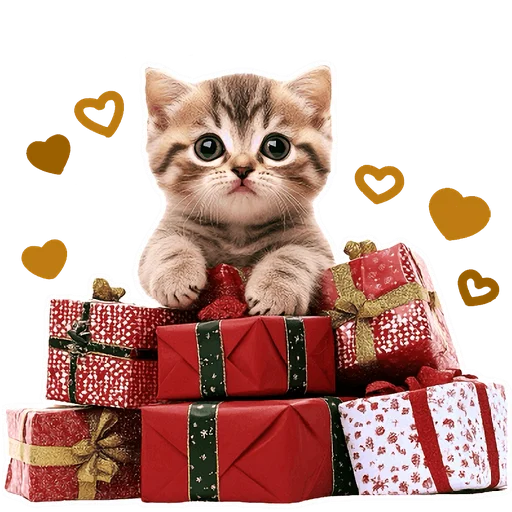🎁 Стикер «Зимние котики» для Telegram