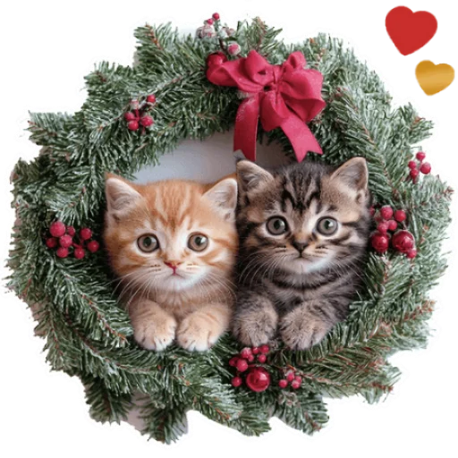 Стикерпак Зимние котики для Telegram