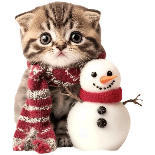 ☃ Стикер «Зимние котики» для Telegram