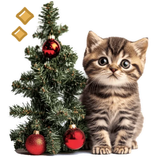🎄 Стикер «Зимние котики» для Telegram
