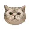 Стикер 2 Зимний Набор