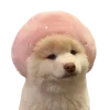 Обложка пака