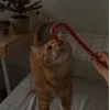 Стикер 48 Новогодние К