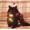 Стикер 15 Новогодние К
